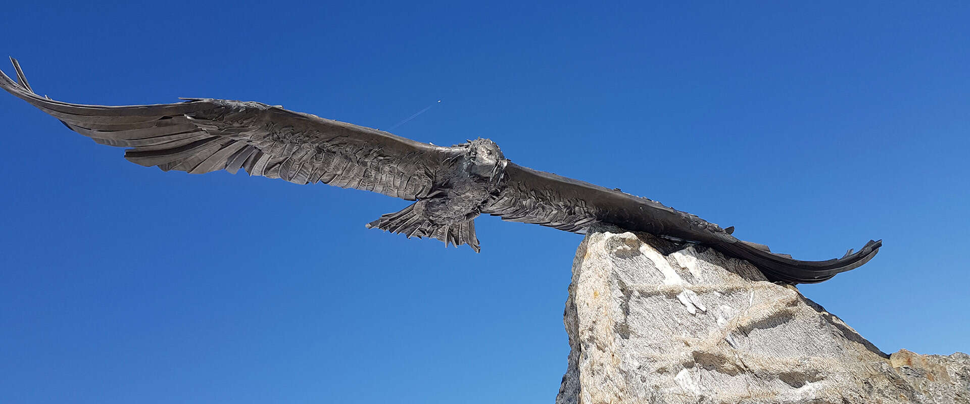 eagle statue